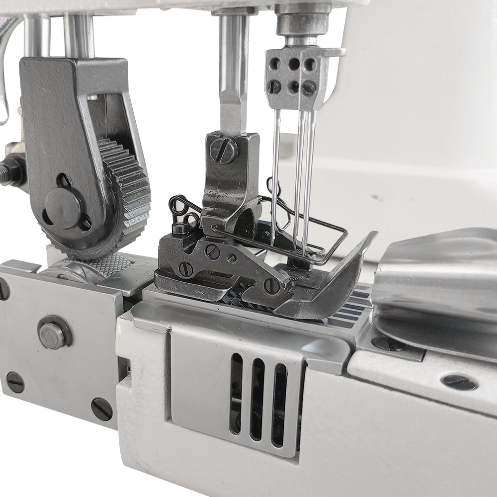 LM XH PL DD d LM XH PL DD d